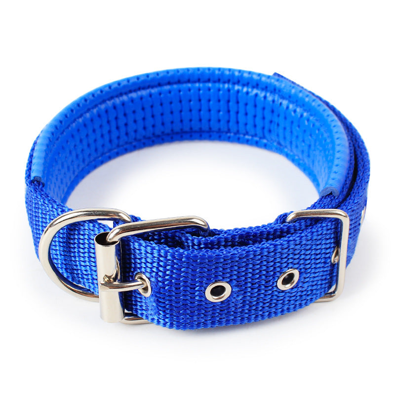 Pet collar.