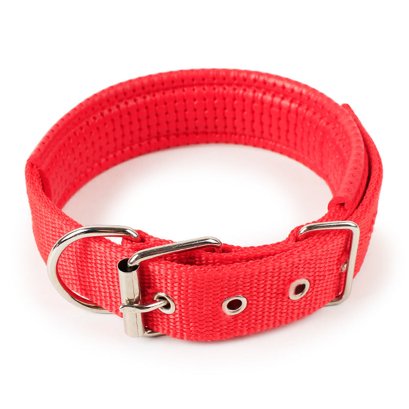 Pet collar.