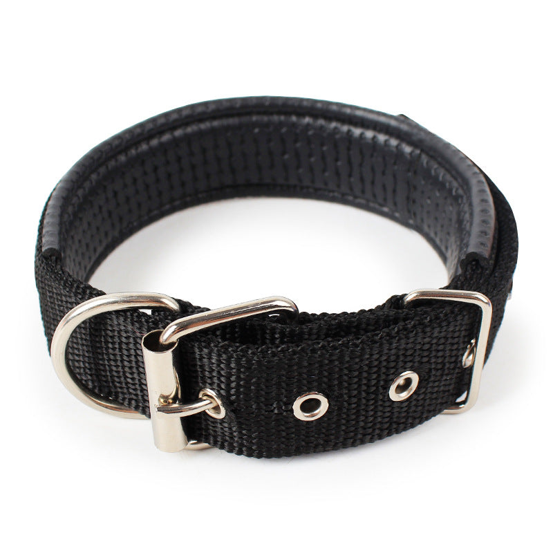 Pet collar.