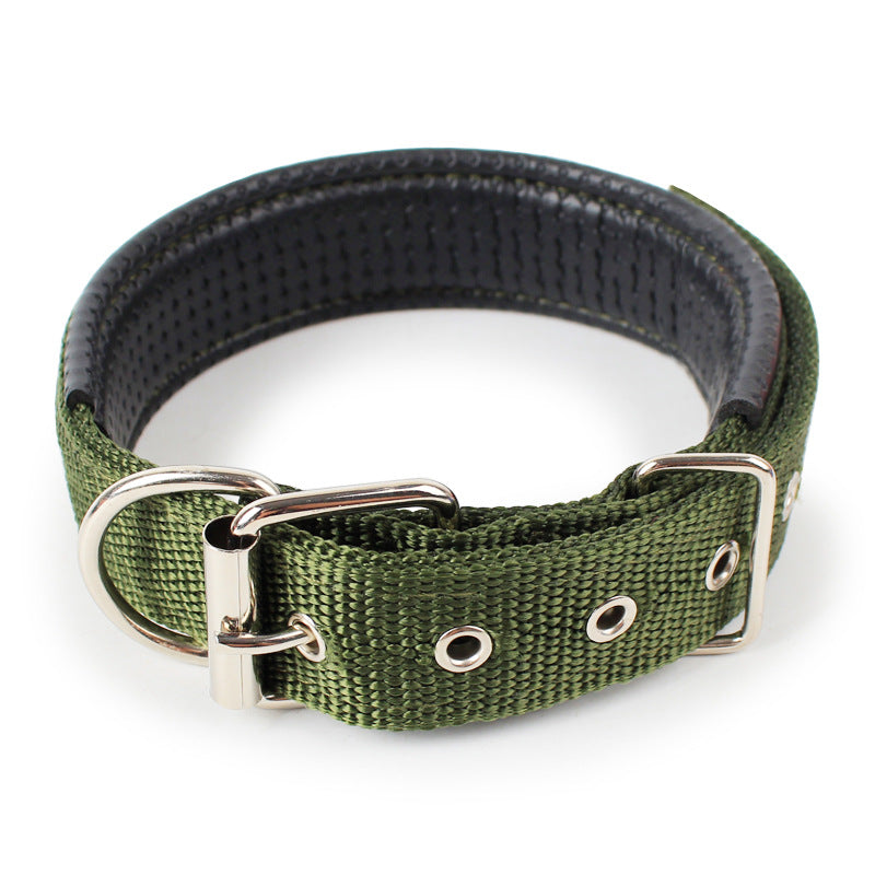 Pet collar.