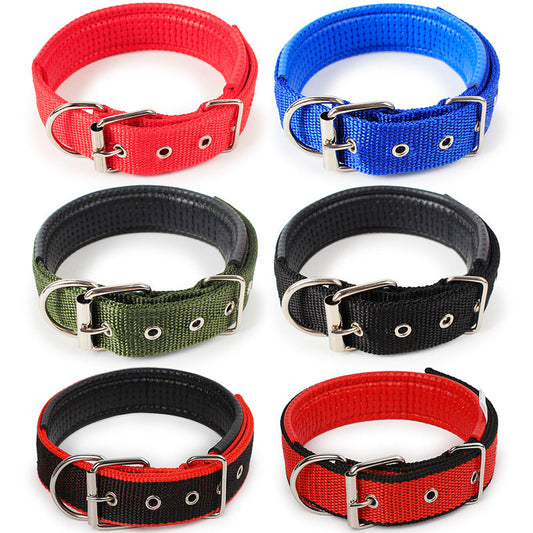 Pet collar.