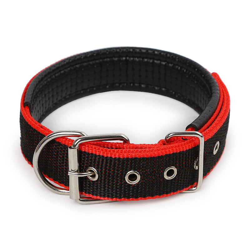 Pet collar.