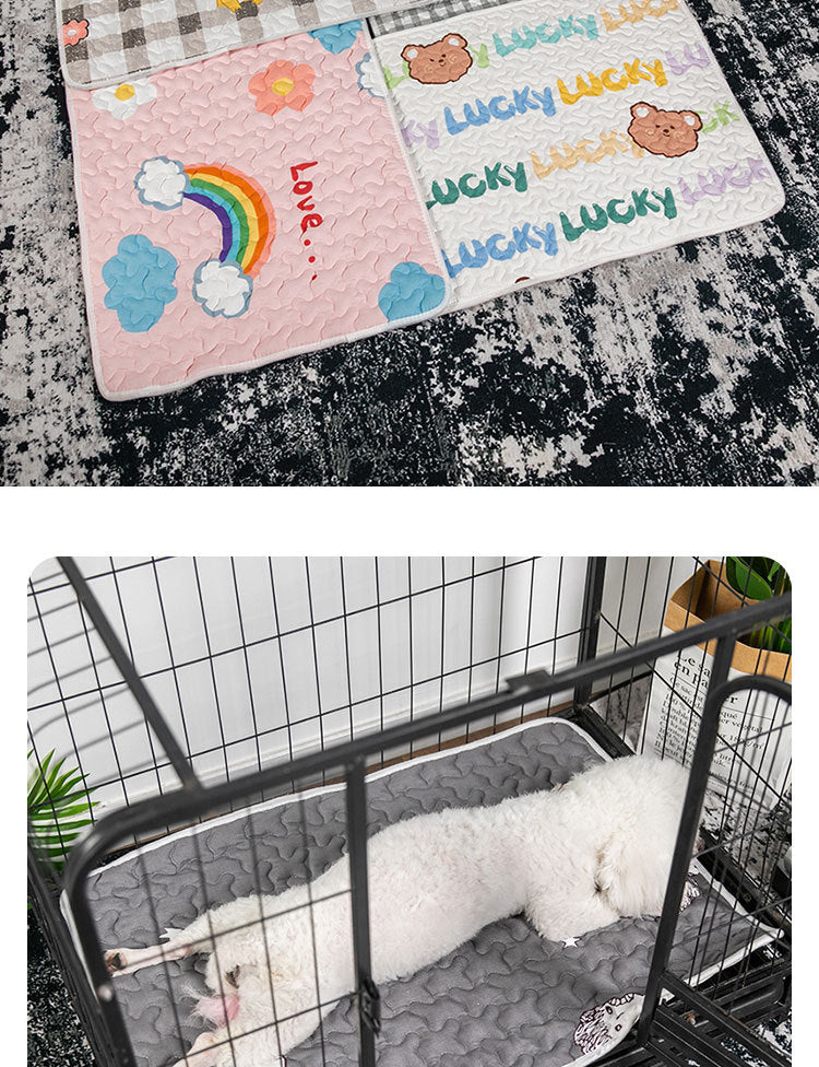 Pet Blankets for All Seasons