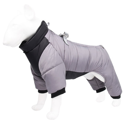 Keep warm winter dog clothes.